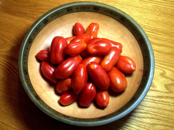 10di Pomodoro 10 dita di Napoli semi