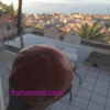 belm Pomodoro Belmonte Calabro Costoluto Gigante semi