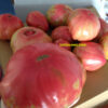 belmonte calabro gigante semi Pomodoro Belmonte Calabro Costoluto Gigante semi