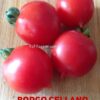 borgo cellano pomodoro semi Pomodoro Borgo Celano / Borgo Cellano semi