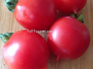 Pomodoro Borgo Celano / Borgo Cellano semi