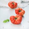 costoluto genovese 1 (1) Pomodoro Costoluto Genovese
