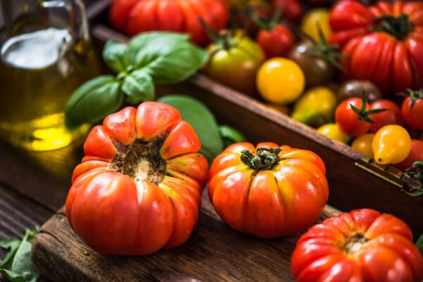 costoluto genovese (1) Pomodoro Costoluto Genovese
