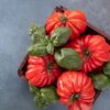 costoluto genovese 2 (1) Pomodoro Costoluto Genovese