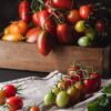 datt1 (1) Pomodoro Datterino Rosso semi