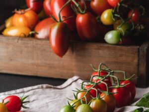 Pomodoro Datterino Rosso semi