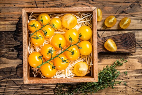 Pomodoro Sundrop / Goccia di Sole