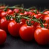 Pomodoro Tondo Maremmano semi