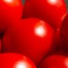 UOVO ROSSO Pomodoro Uovo Rosso nano semi