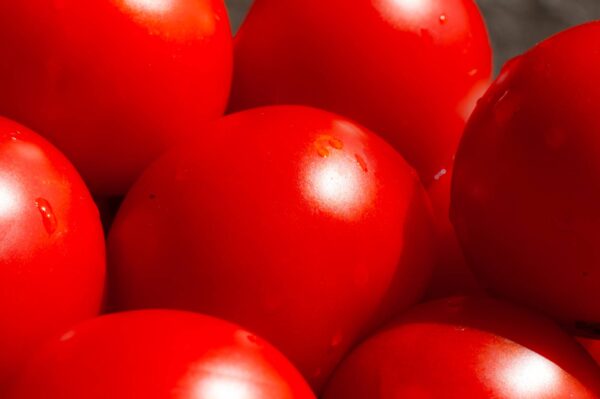 UOVO ROSSO Pomodoro Uovo Rosso nano semi