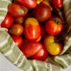 Pomodoro Dattero Davis UC Gordie Hanna semi