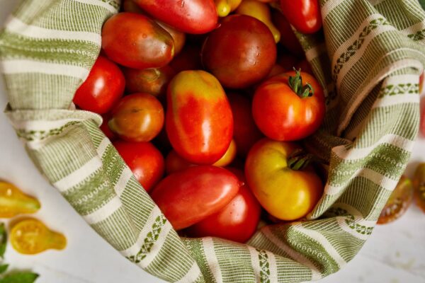 Pomodoro Dattero Davis UC Gordie Hanna semi