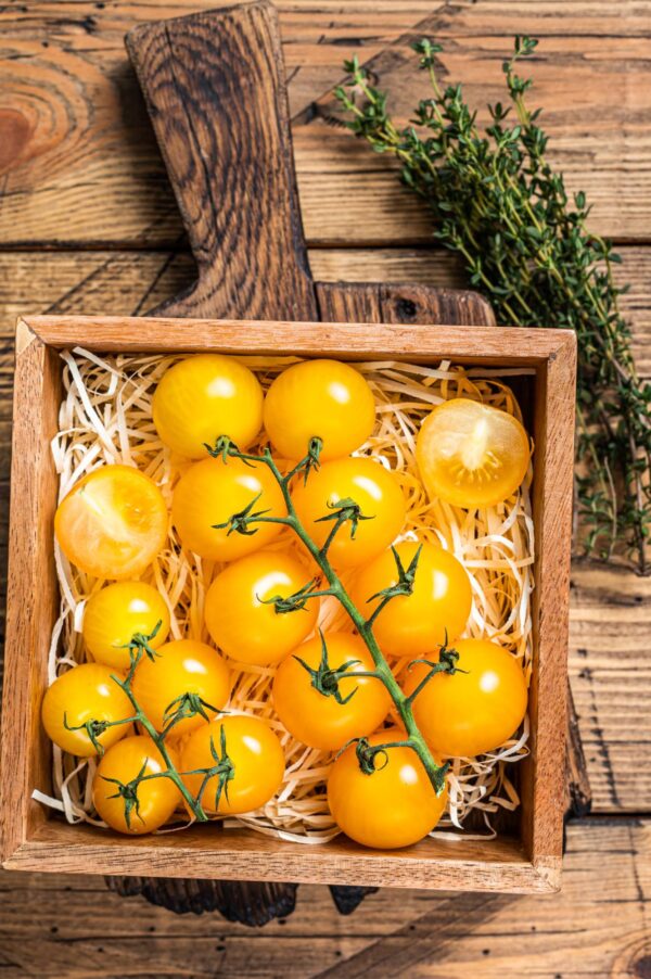 golden nugget pepita d'oro 1 (1) Pomodoro Golden Nugget semi