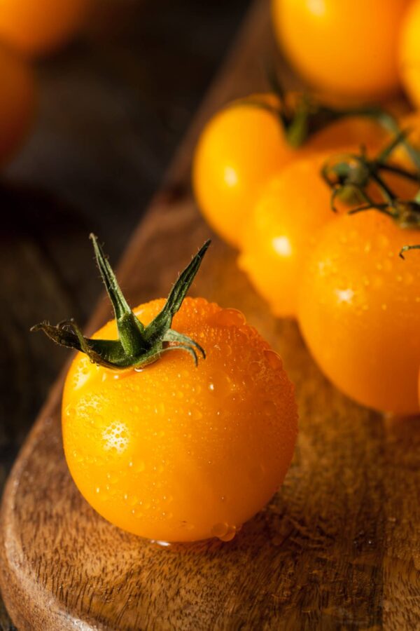 golden nugget pepita d'oro 2 (1) Pomodoro Golden Nugget semi