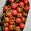 koralik Pomodoro Koralik semi