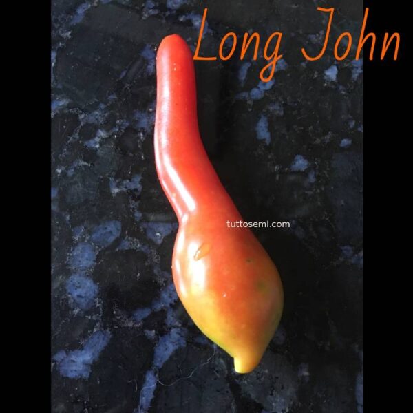 lonj3 Pomodoro Long John semi