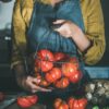 muchamiel Pomodoro Muchamiel da Alicante semi