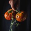 muchamiel Pomodoro Muchamiel da Alicante semi