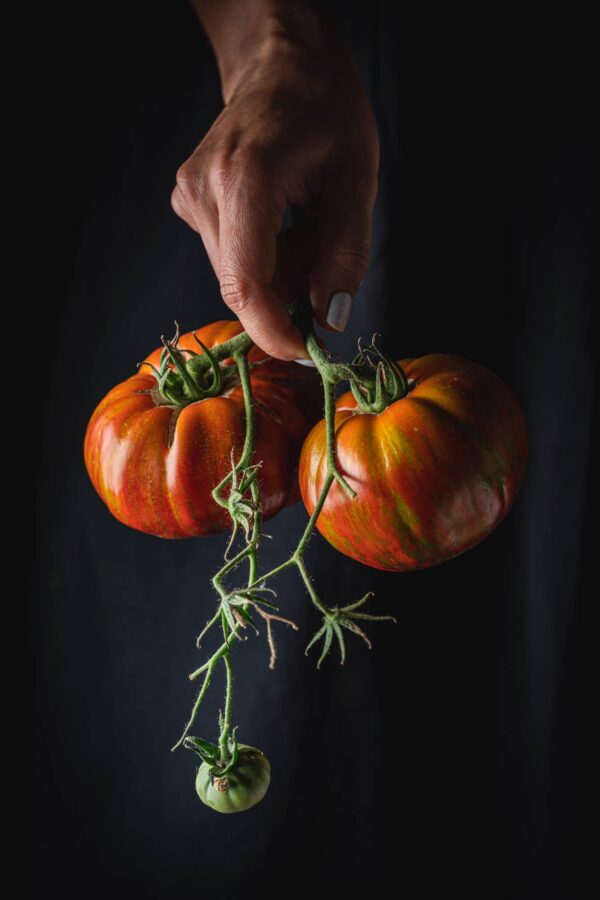 muchamiel Pomodoro Muchamiel da Alicante semi