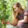pink thaio women-farmer-checking-tomato-on-tomato-farm-2023-11-27-05-07-39-utc (1) Pomodoro Rosa della Tailandia semi