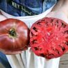 poche Pomodoro Cherokee Purple semi