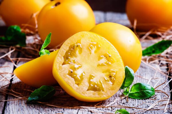 ponde Pomodoro Ponderosa giallo da serbo siccagno semi