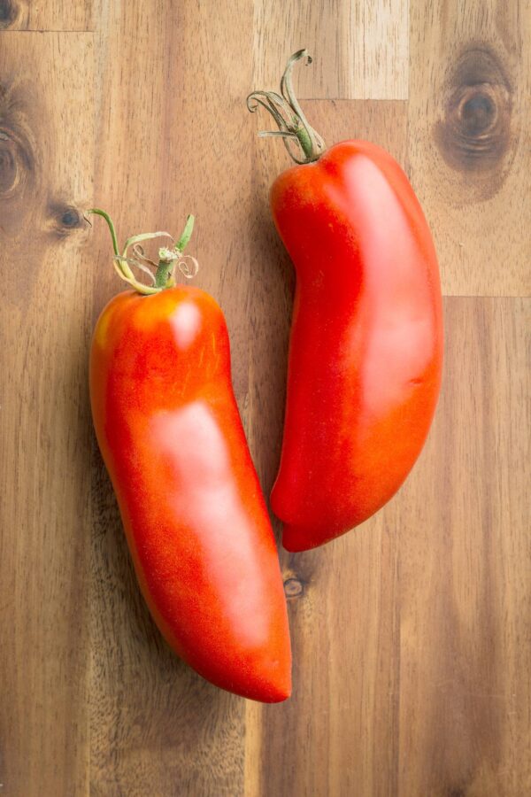 san marzano2 Pomodoro San Marzano Alto semi