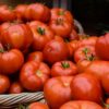 sanp1 Pomodoro di Saint Pierre