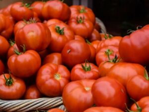 sanp1 Pomodoro di Saint Pierre