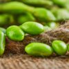Edamame Green Shell Semillas