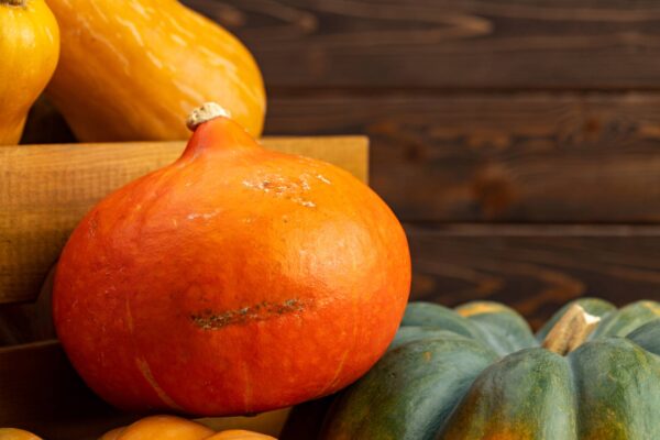 hokkaido (3) Zucca Uchiki Kuri semi