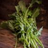Kailaan Kichi / Gai Lan / Broccolo Cinese 100 Semi