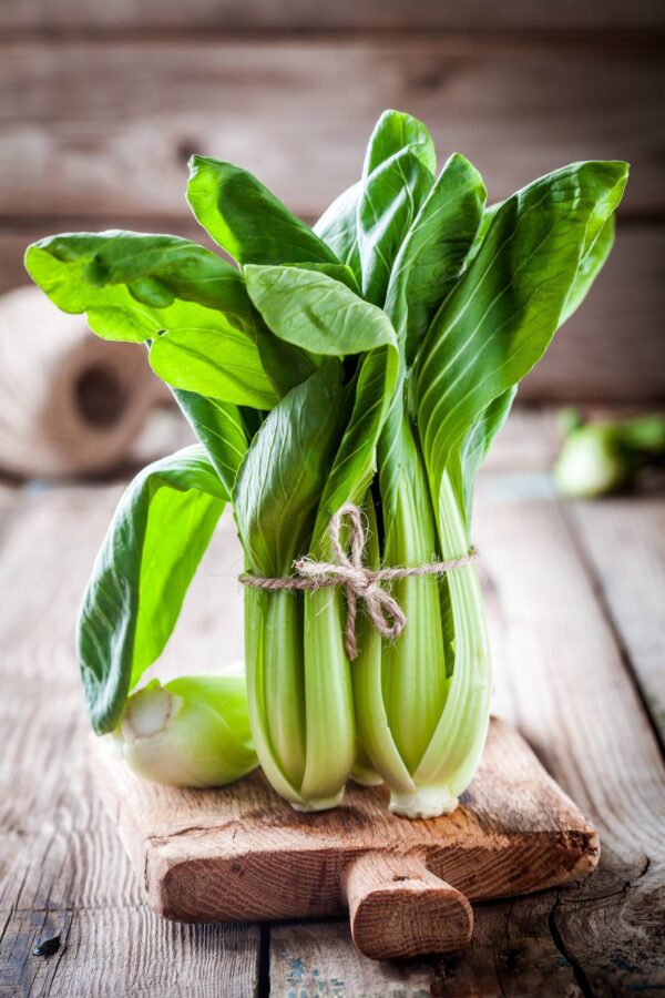 pak choi (3) Pak Choi Bianco - Stelo Bianco semi
