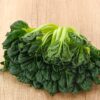 tatsoi rosette (1) Tatsoi Rosette100 Semi