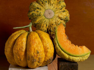 Melón Zatta semillas