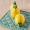 zucchina limone (1) Zucchino Limone semi