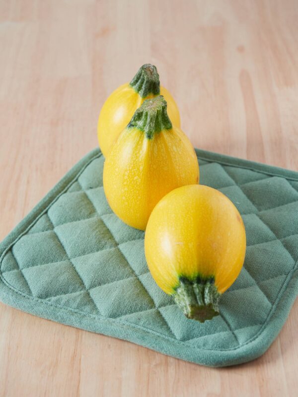 zucchina limone (1) Zucchino Limone semi