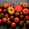 Fresh heirloom variety tomatoes on dark wooden background. Autum Pomodoro Ciliegia Brown Berry semi
