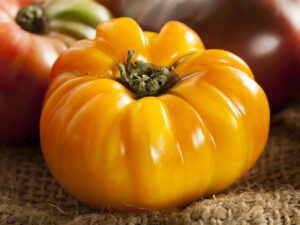 Pomodoro Azoychka
