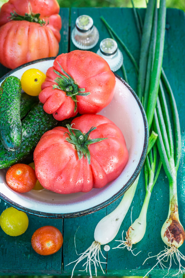 Colorful mix vegetables from countryside Pomodoro German Head semi