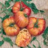 pomodoro fiamma semi Pomodoro Fiamma semi