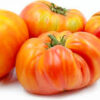 tofi4 Pomodoro Fiamma semi