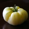 grwh1 Pomodoro Great White semi