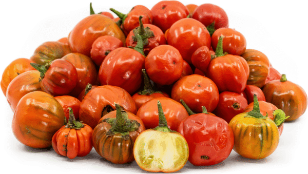 mero Melanzana Rossa di Rotonda semi