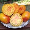 poan Pomodoro Ananas Semi
