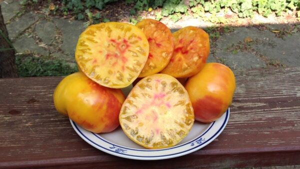 poan Pomodoro Ananas Semi