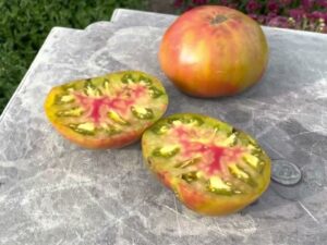 poann2 Pomodoro Ananas Nero