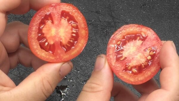 Pomodoro Siberiano semi